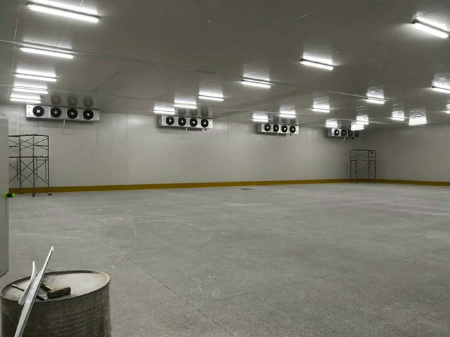 建造100平方冷凍庫需要多少錢？