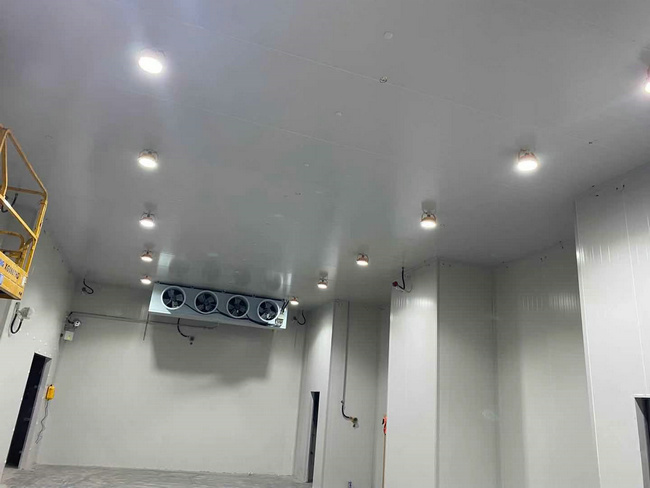 建個存放10噸貨物的冷庫大概需要多少錢？